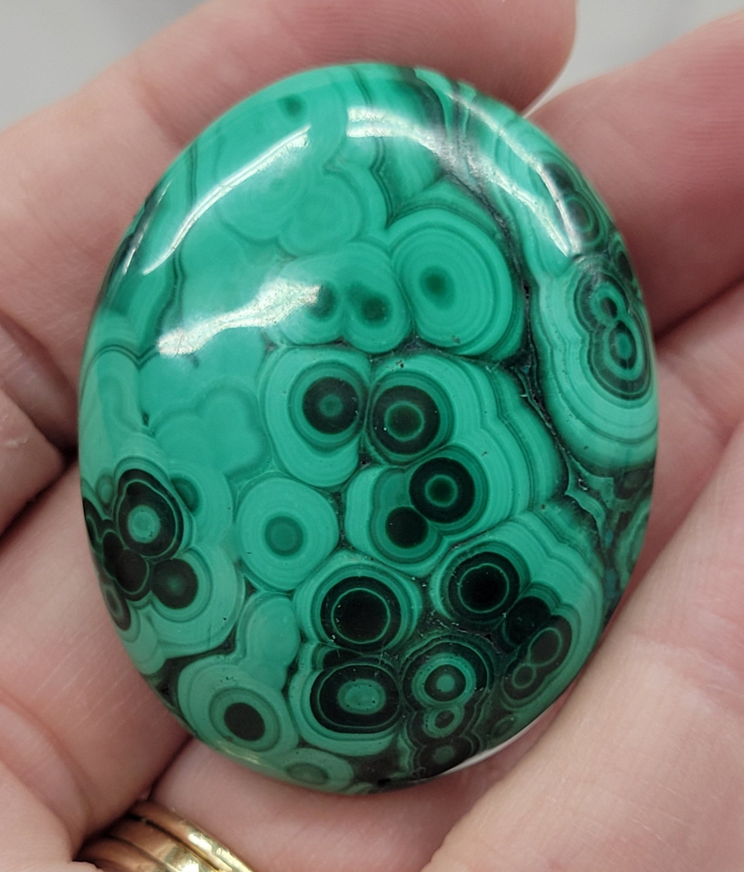 Palm - Malachite