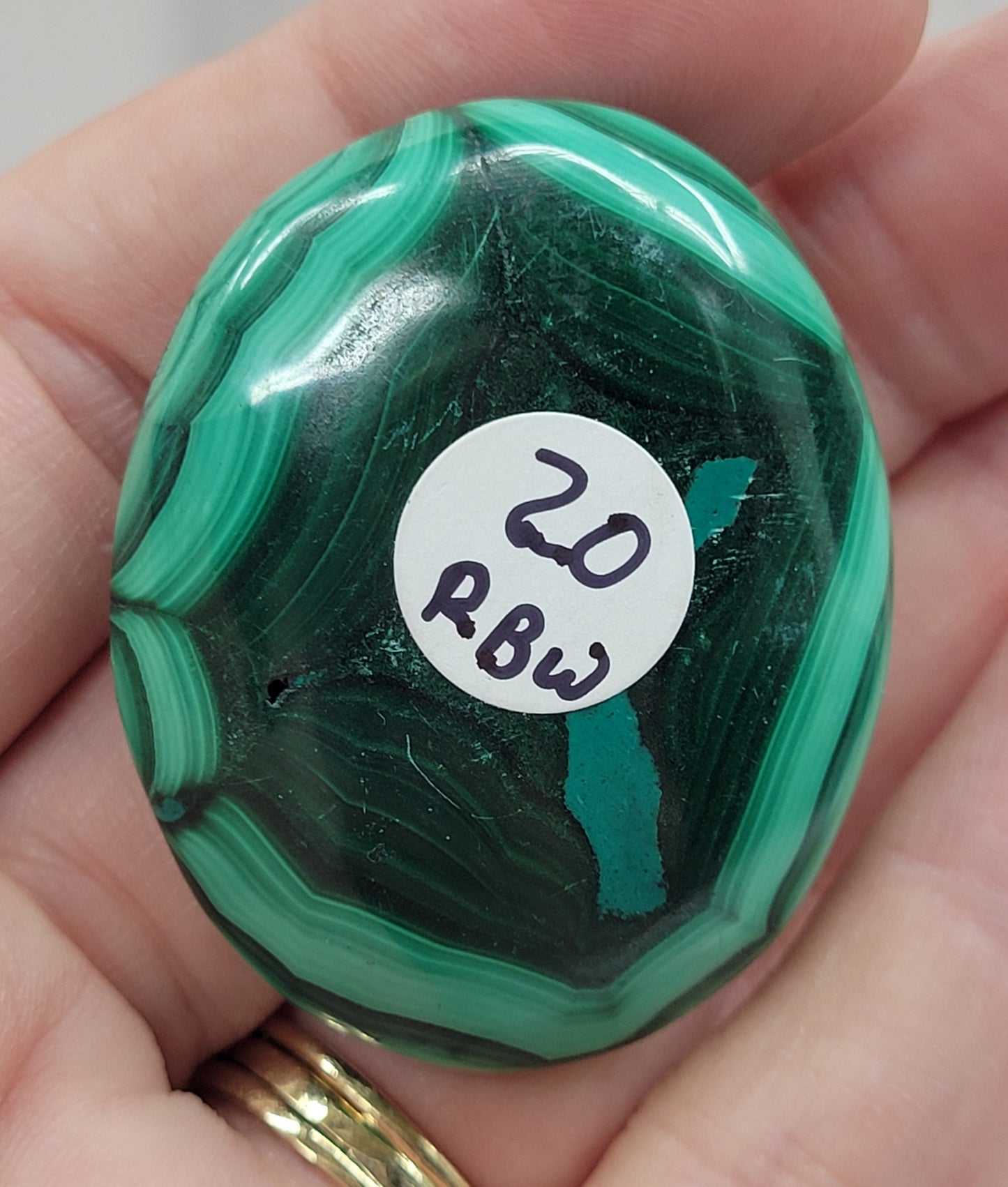 Palm - Malachite