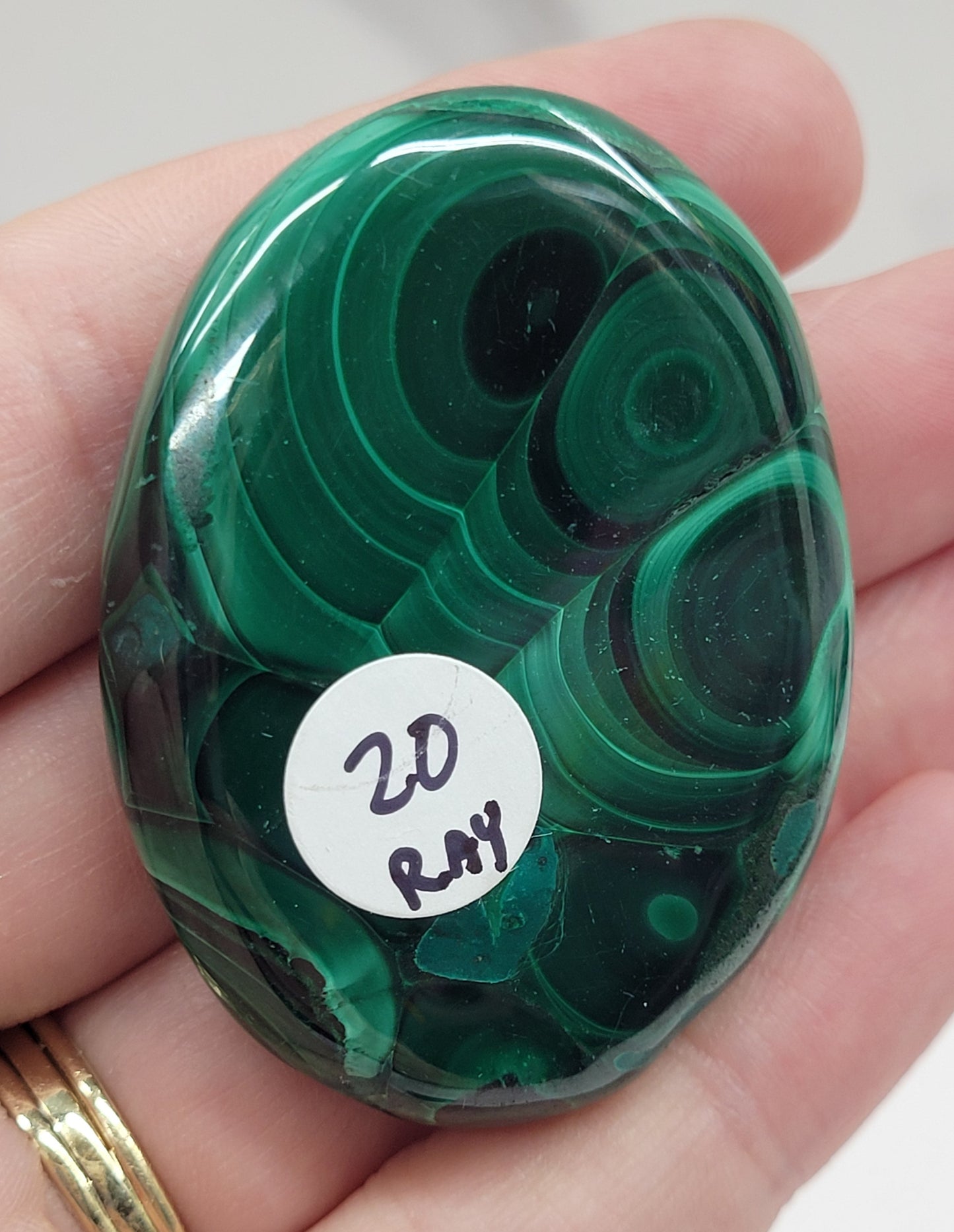 Palm - Malachite