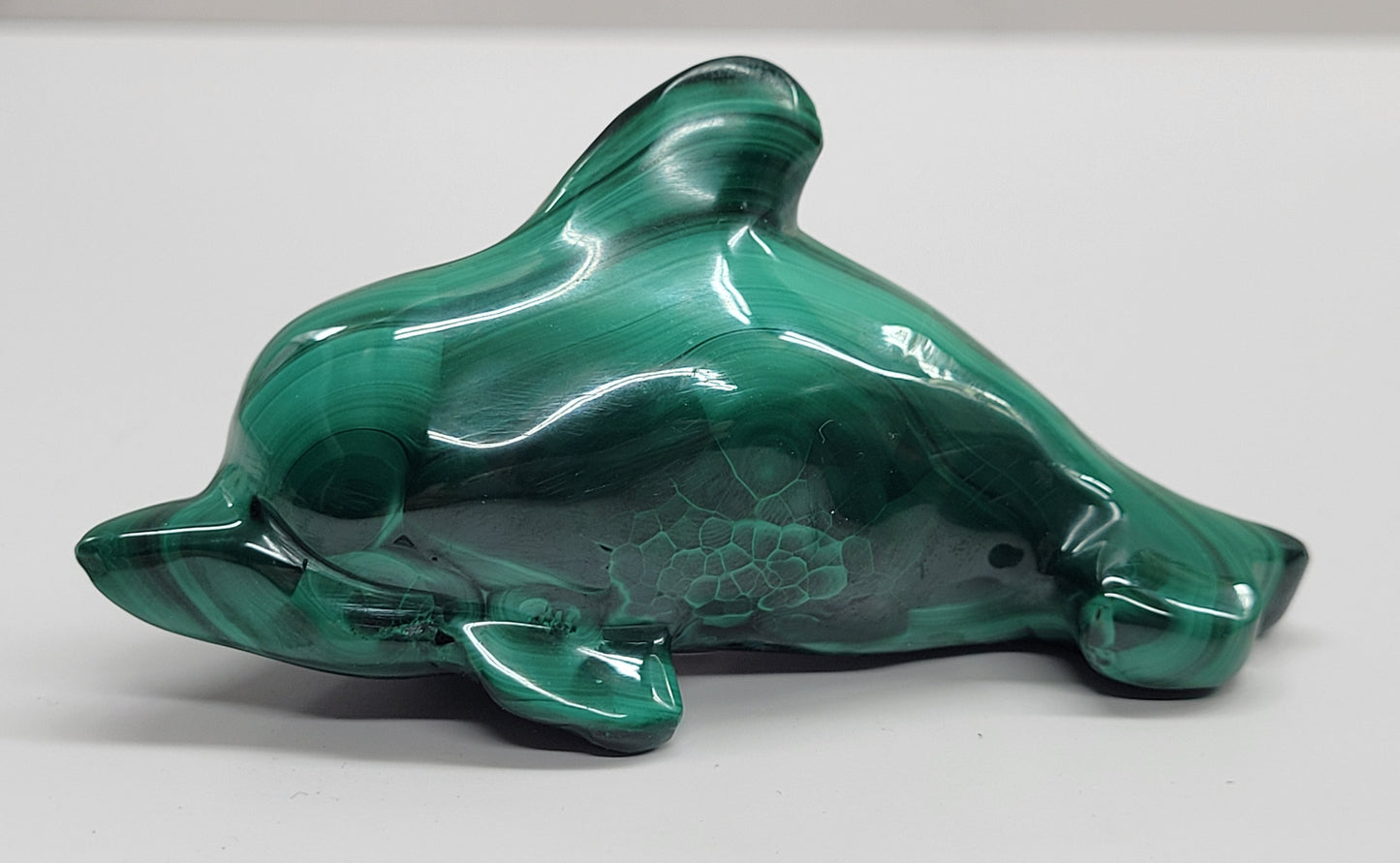 Malachite dolphin