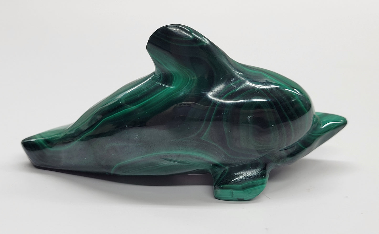 Malachite dolphin