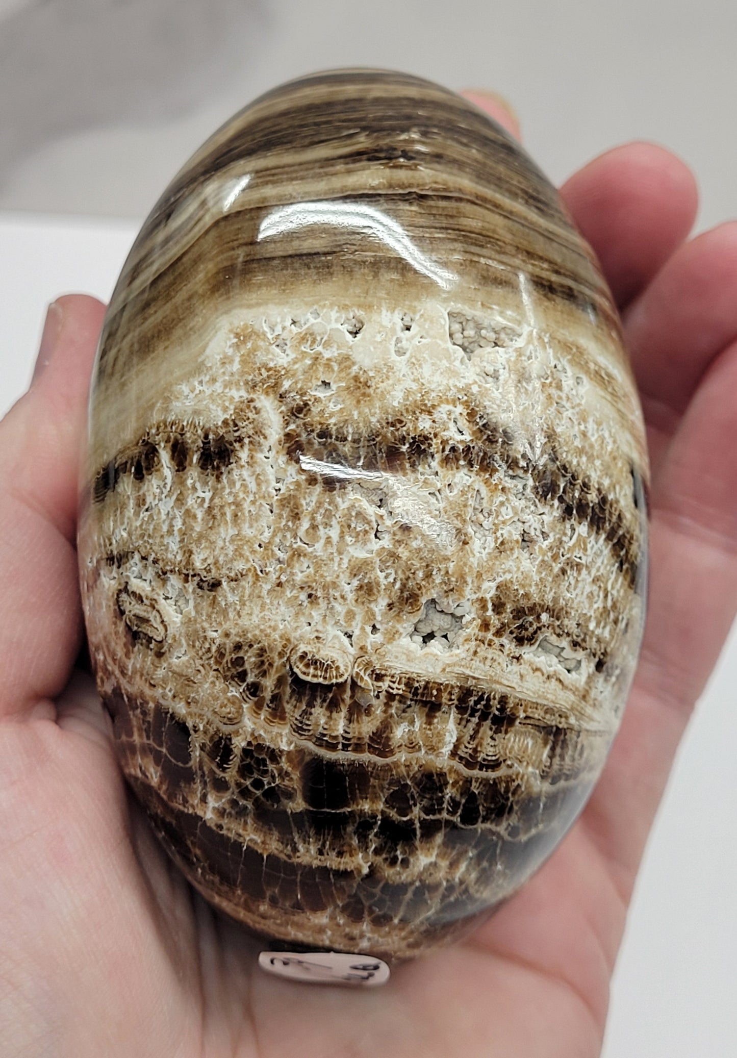 Chocolate Calcite egg