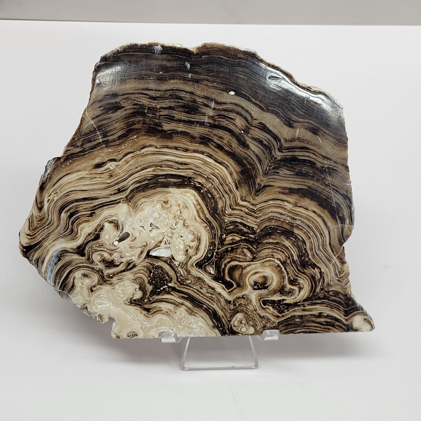 Chocolate Calcite slab