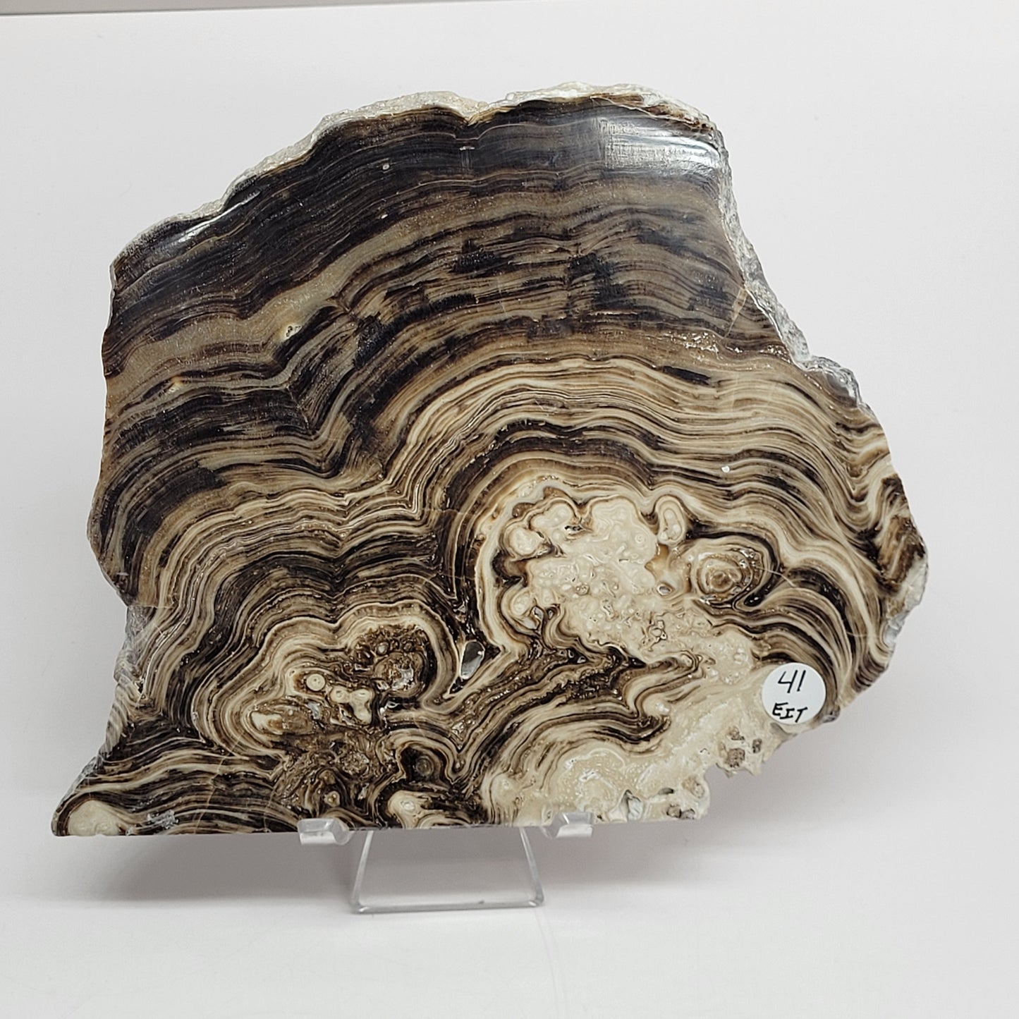 Chocolate Calcite slab