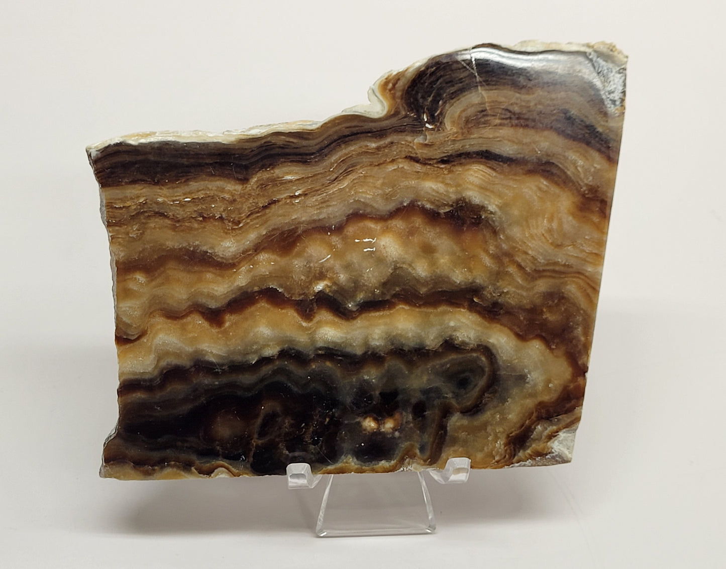 Chocolate Calcite slab
