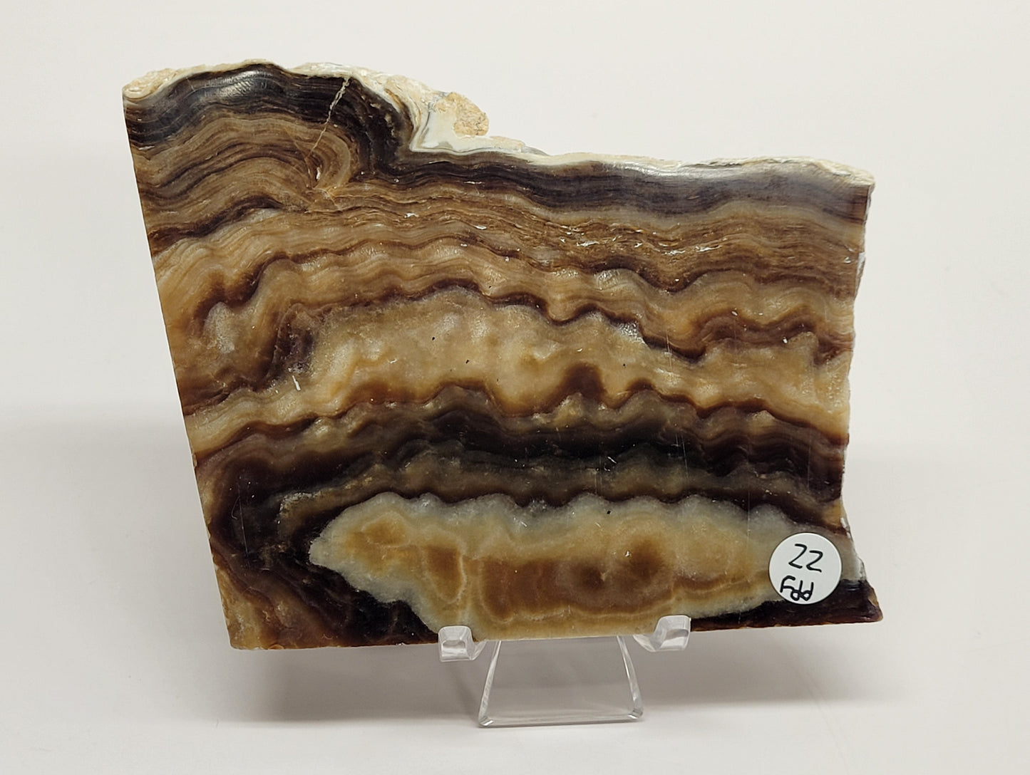Chocolate Calcite slab