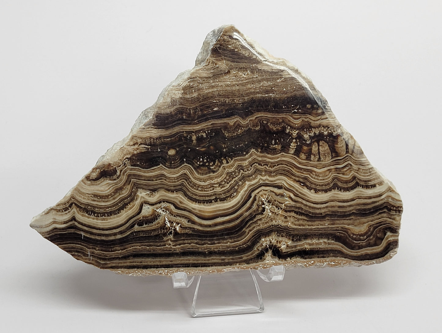 Chocolate Calcite slab