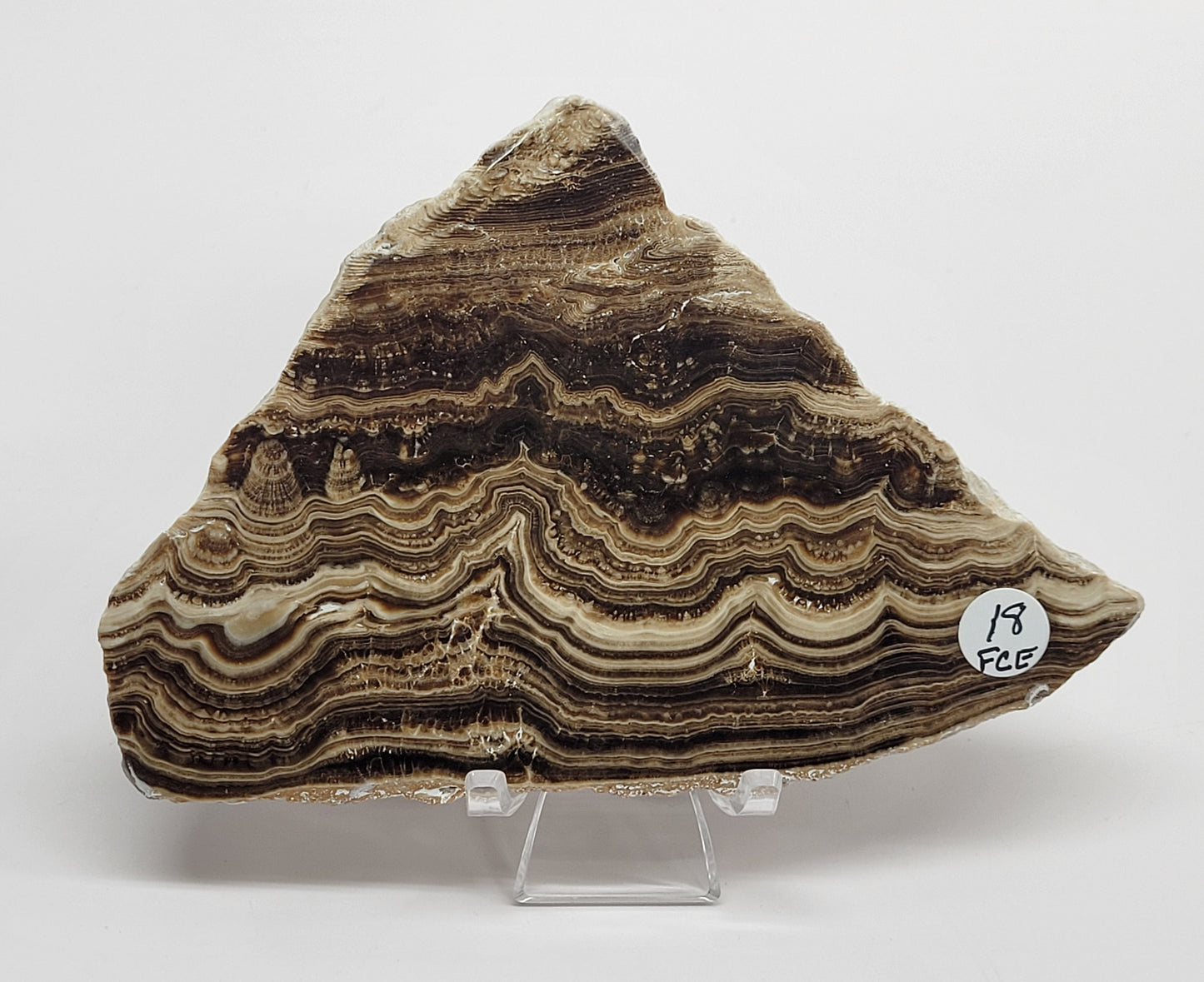 Chocolate Calcite slab
