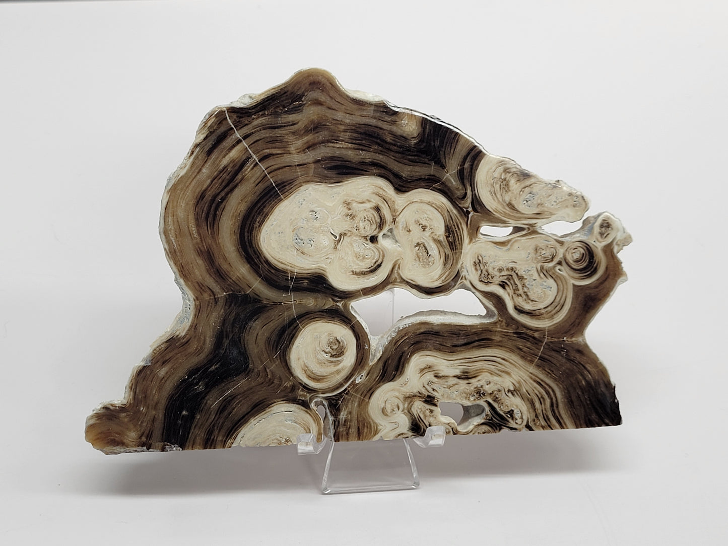 Chocolate Calcite slab