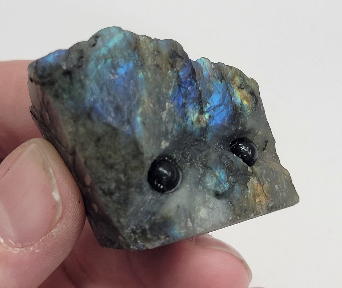 Hedgie - Labradorite