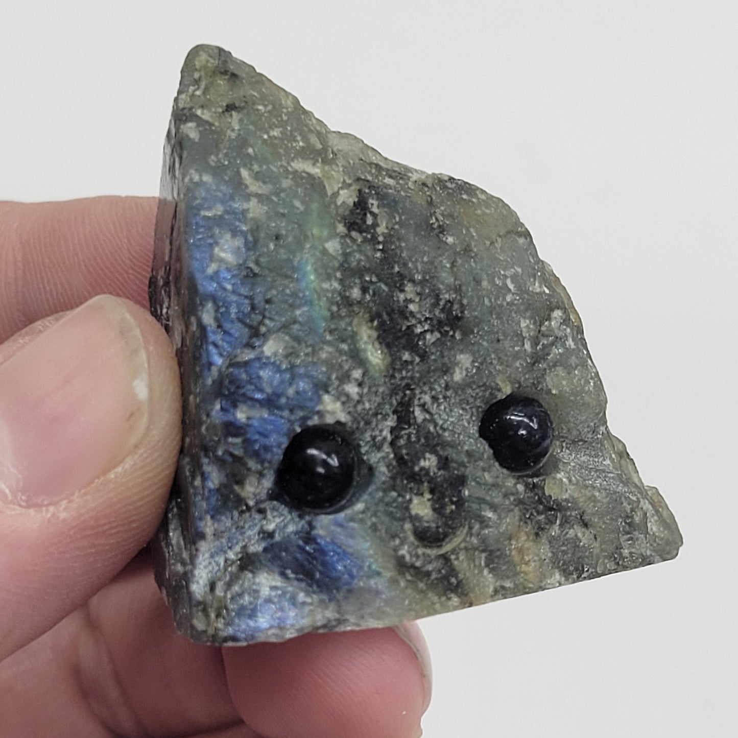 Hedgie - Labradorite