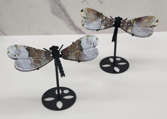 Wings - Ocean Jasper dragonfly