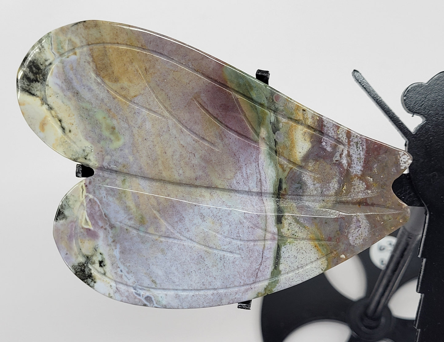 Wings - Ocean Jasper dragonfly
