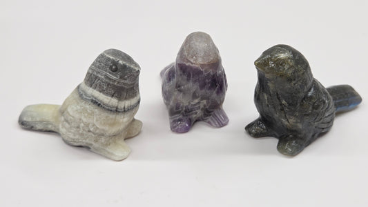 Bird carving - various materials (M)