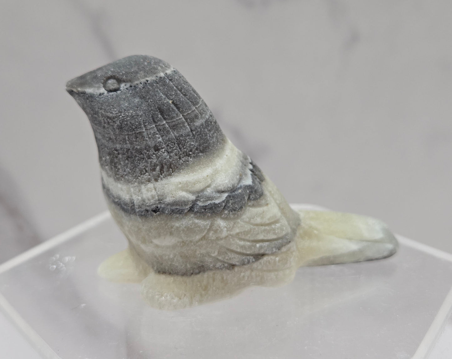 Bird carving - various materials (M)