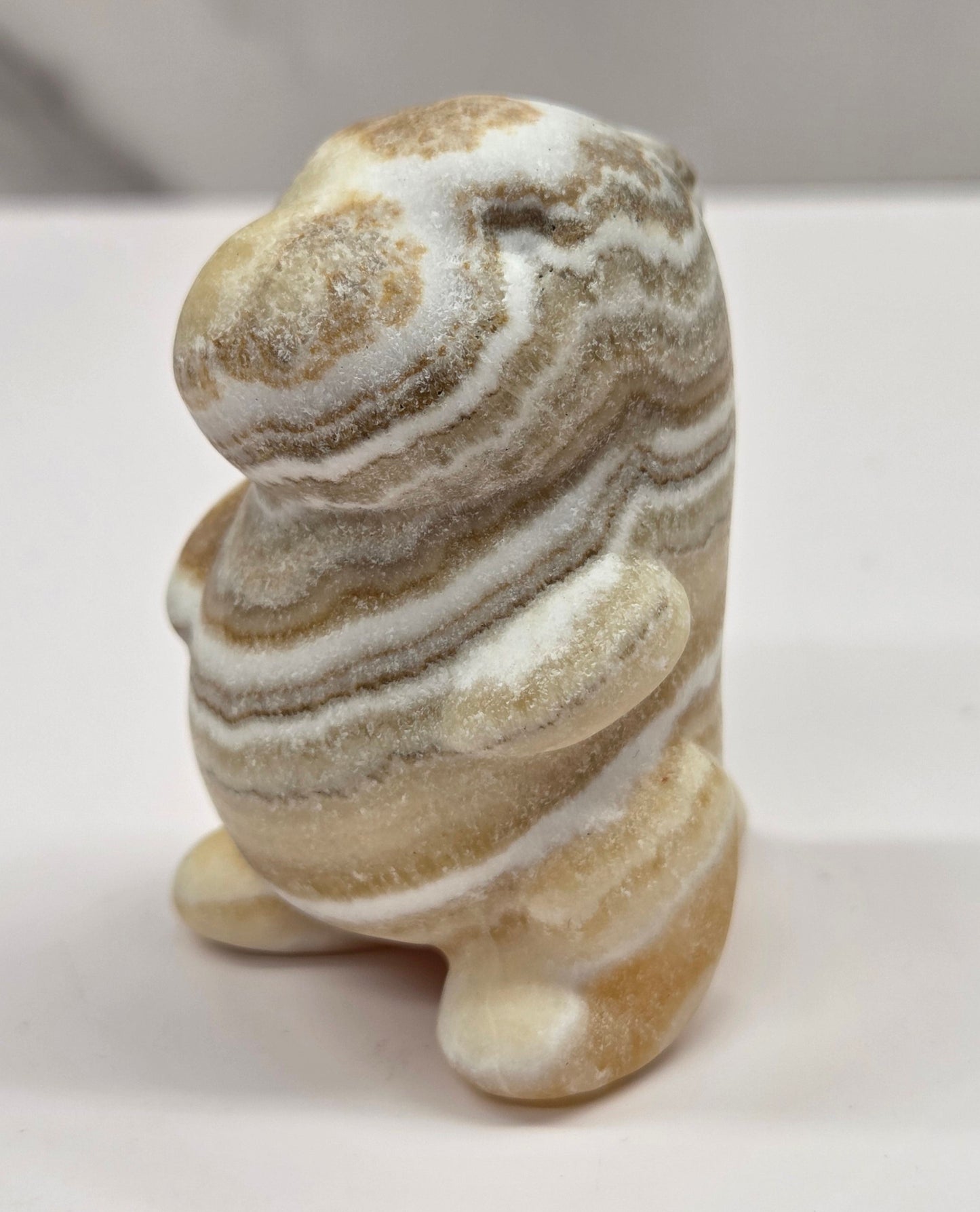 Chubby belly dinosaur (medium)