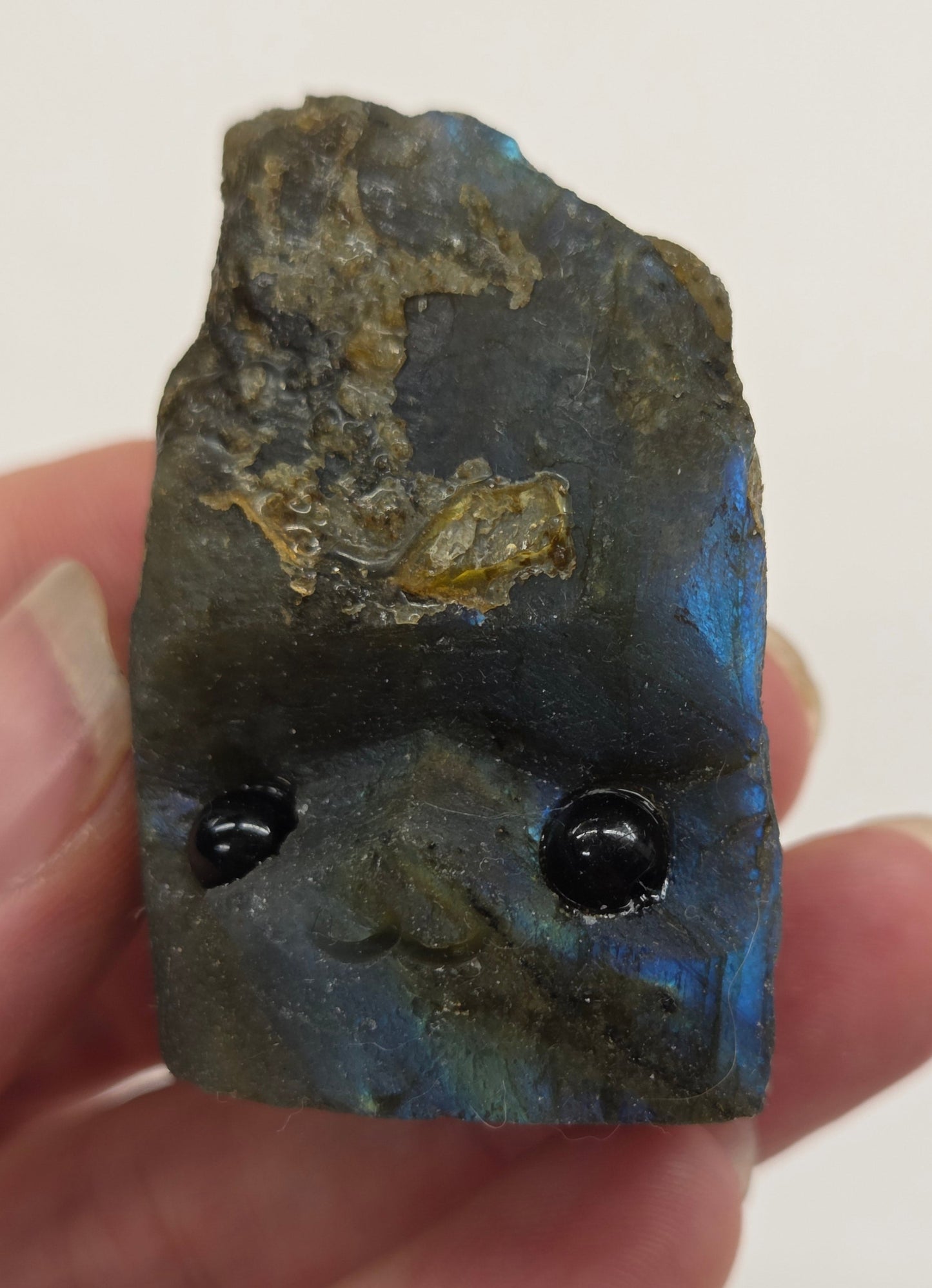 Hedgie - Labradorite