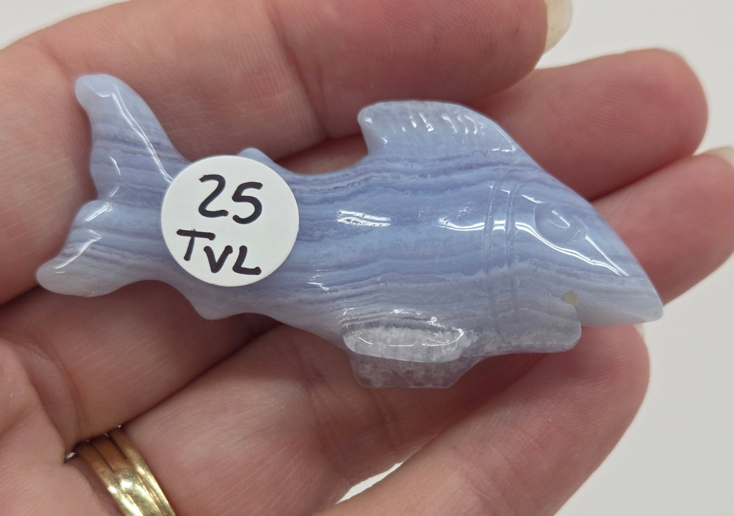 Blue Lace shark carving