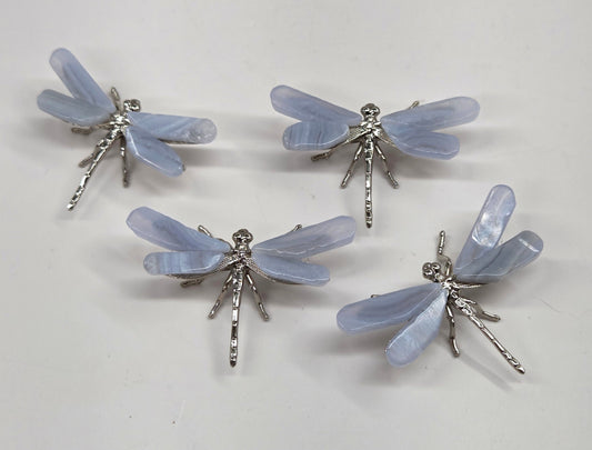 Blue Lace dragonfly (S)