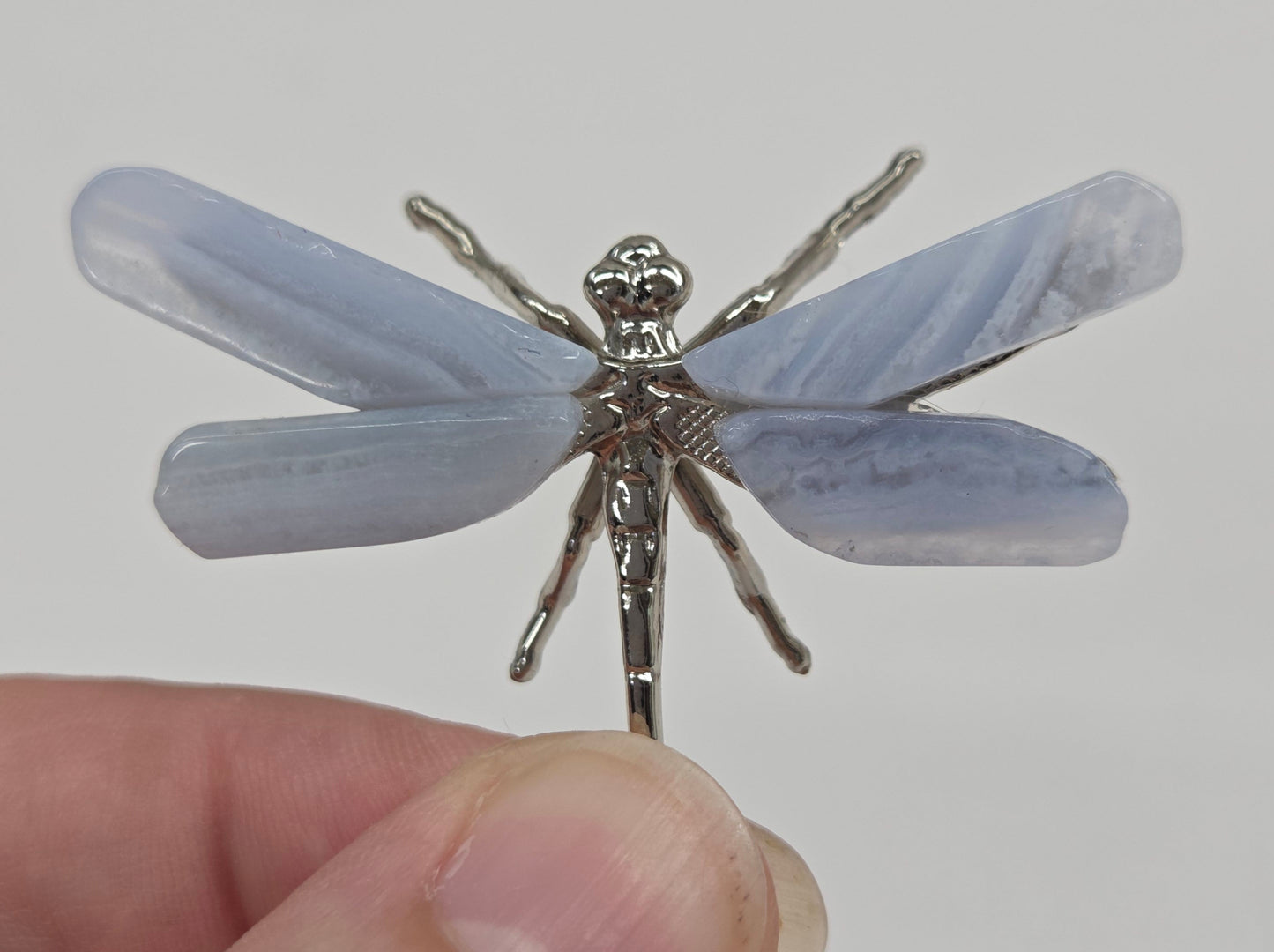 Blue Lace dragonfly (S)
