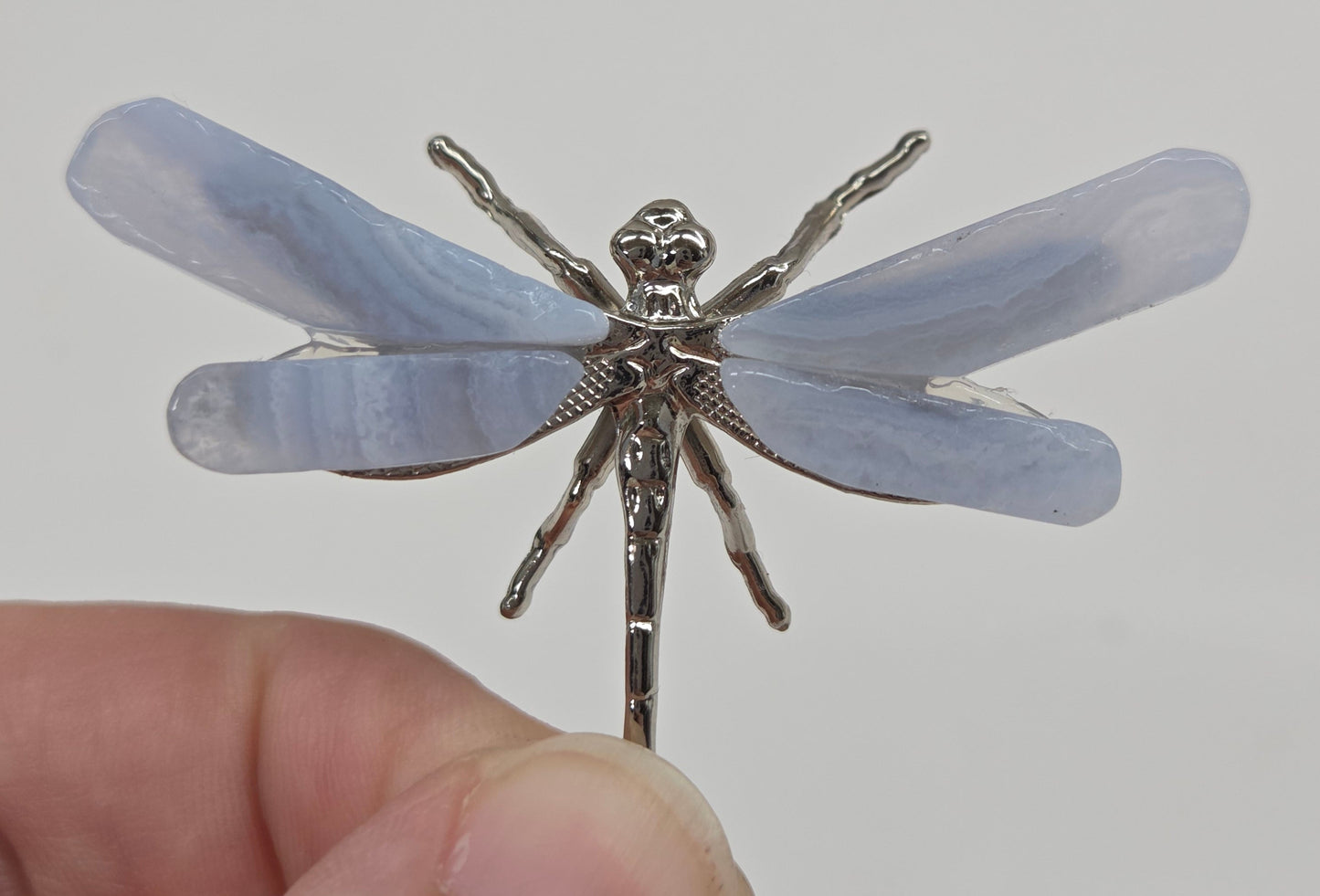 Blue Lace dragonfly (S)