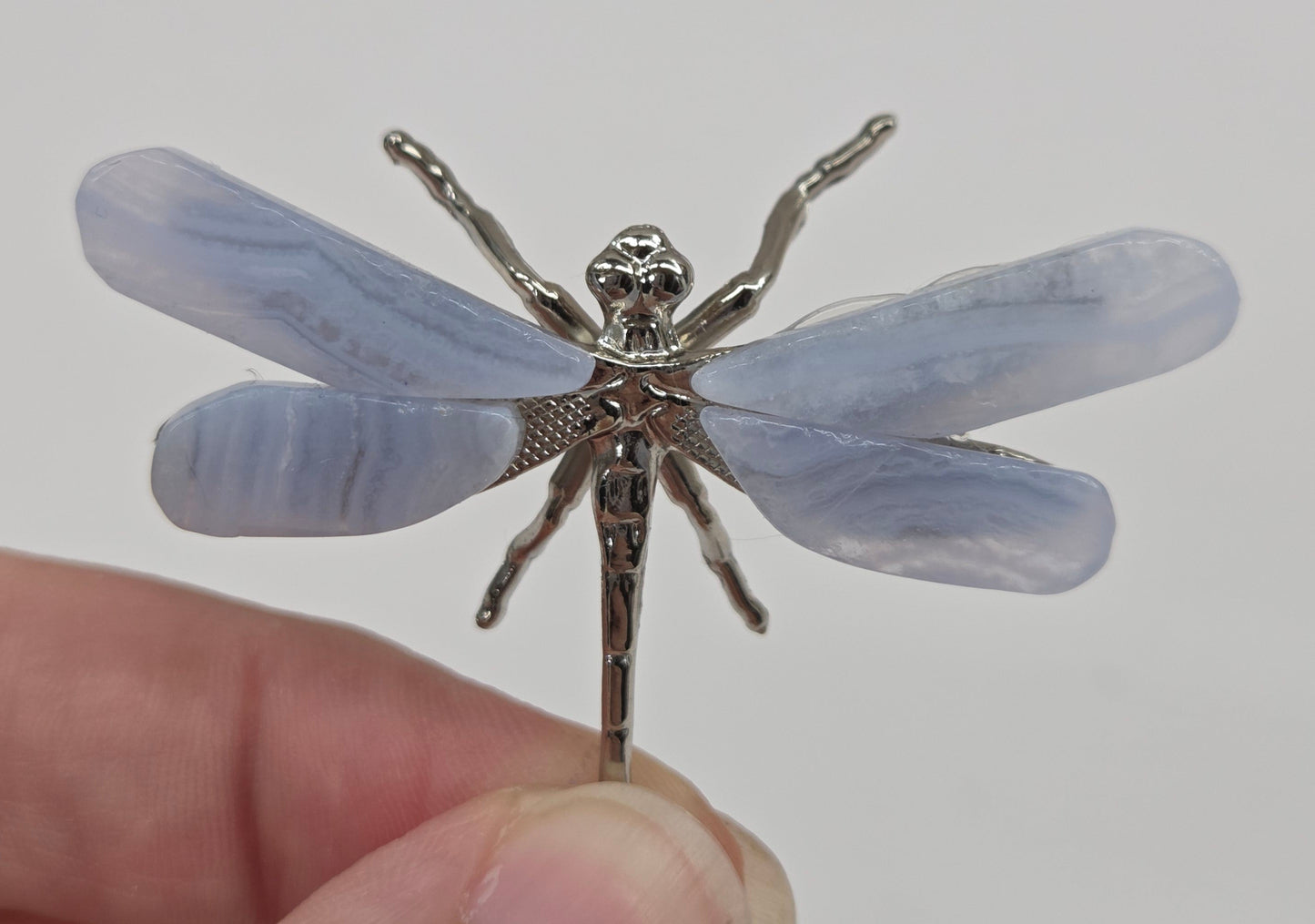 Blue Lace dragonfly (S)