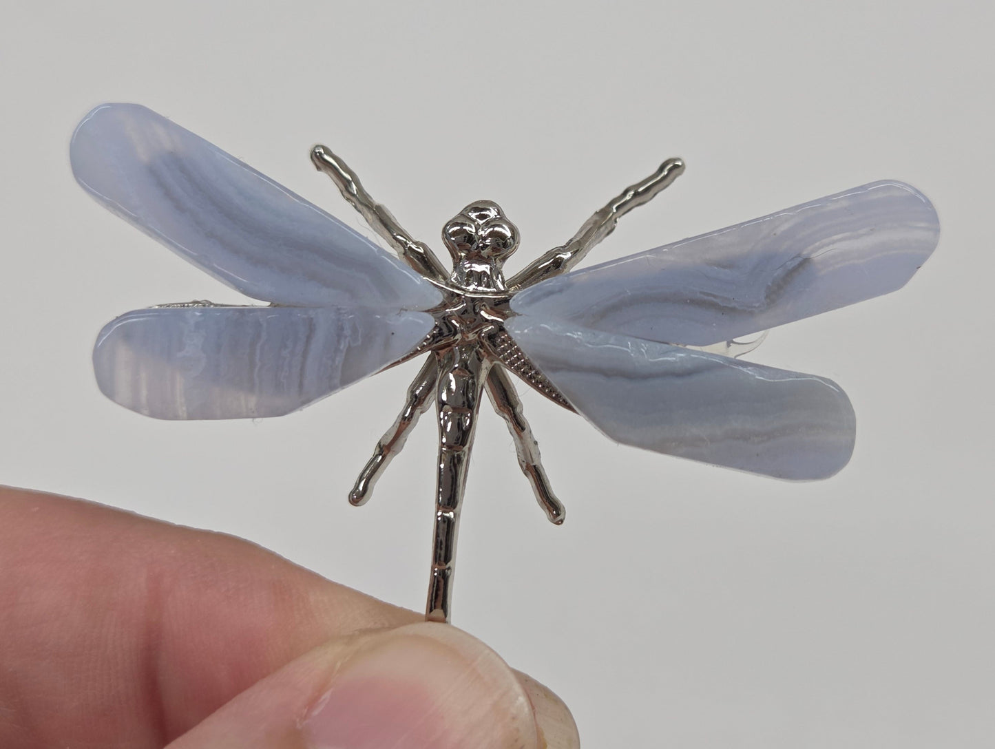 Blue Lace dragonfly (S)