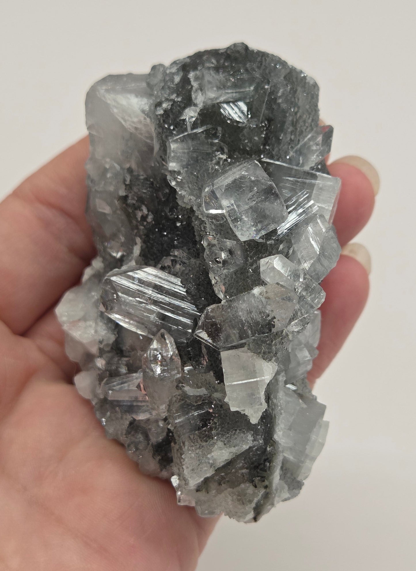 Apophyllite medium/large specimens