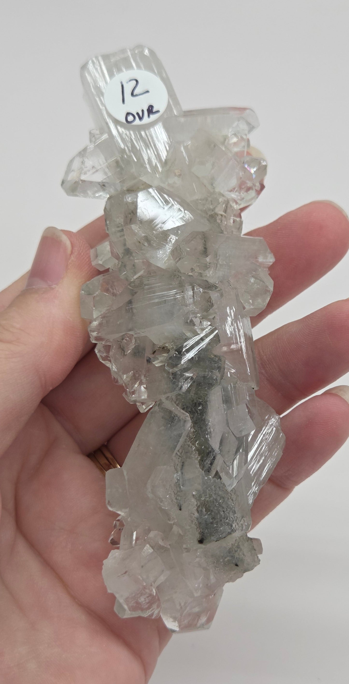 Apophyllite medium/large specimens