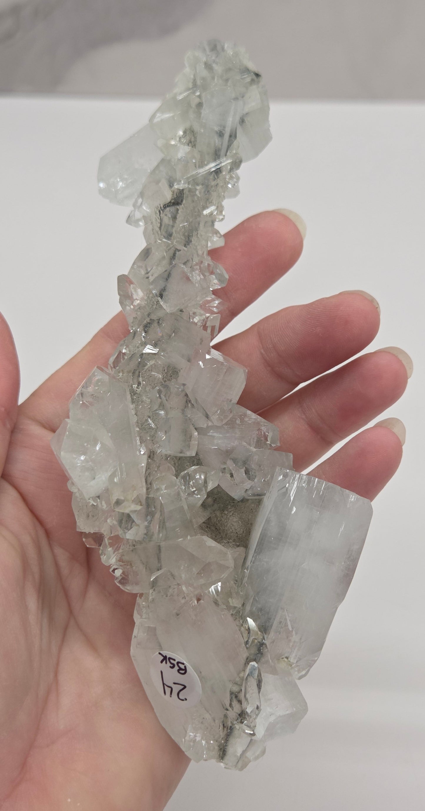 Apophyllite medium/large specimens