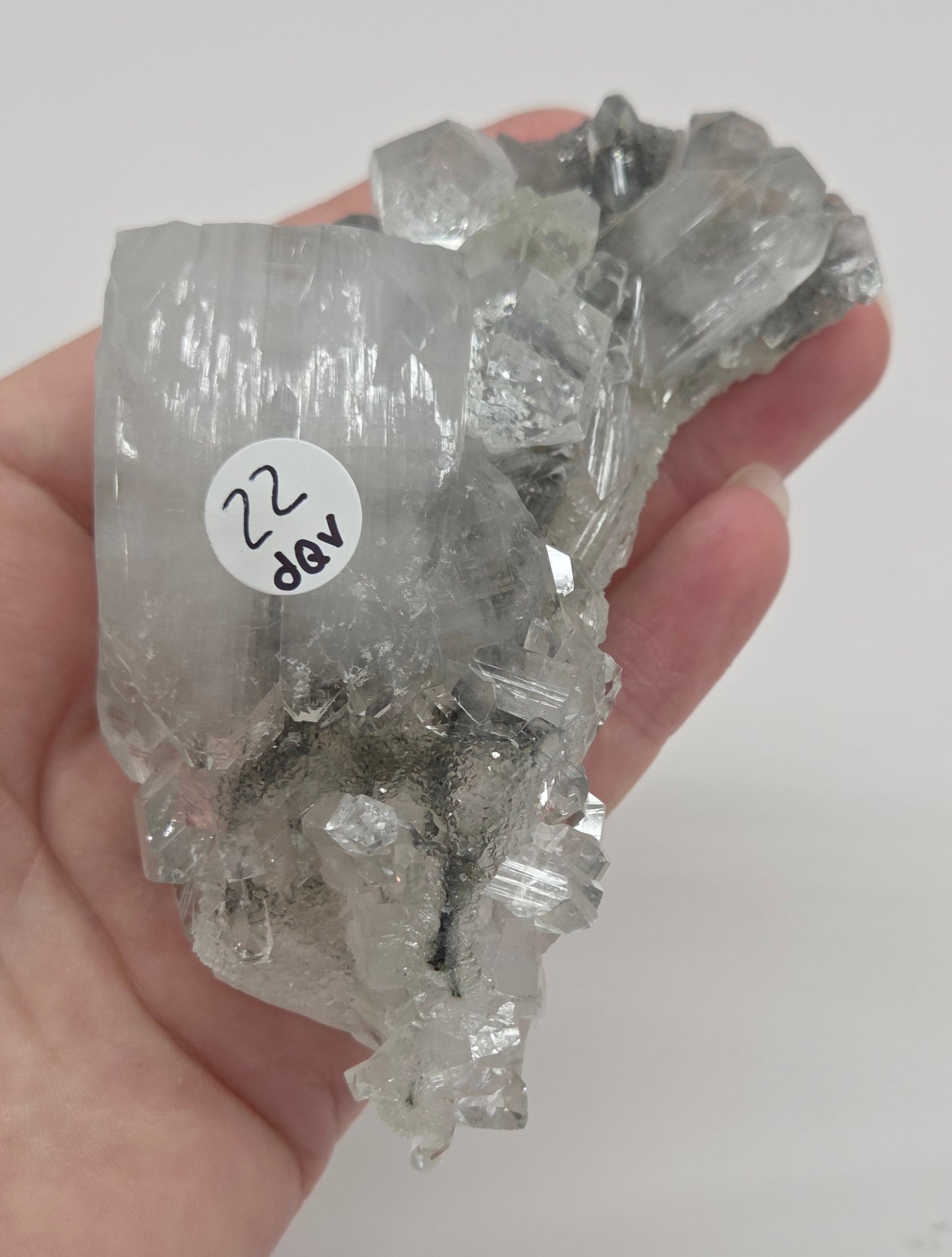Apophyllite medium/large specimens