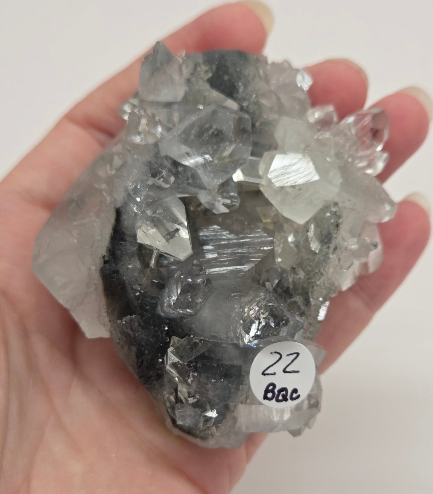 Apophyllite medium/large specimens