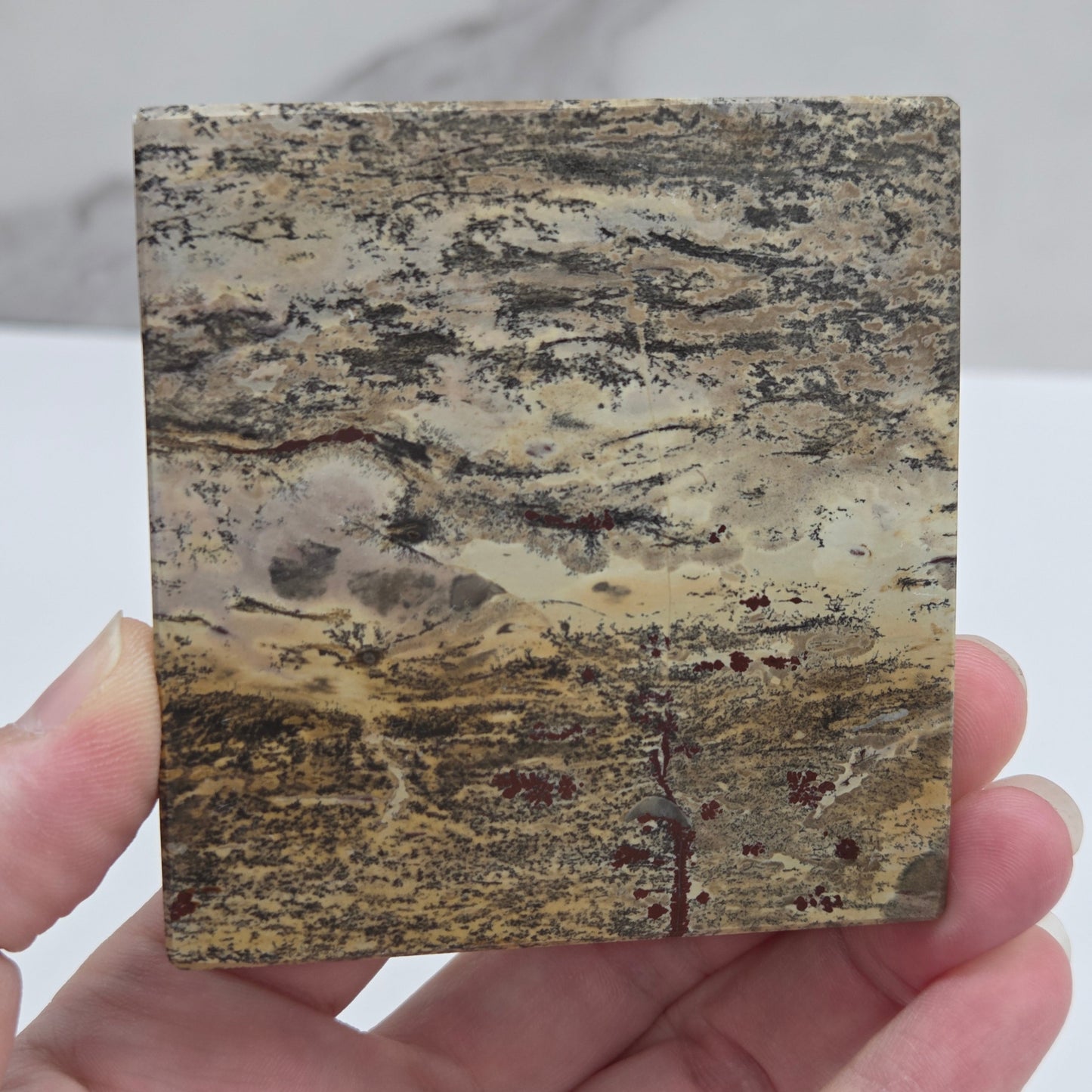 Picture Jasper square coaster