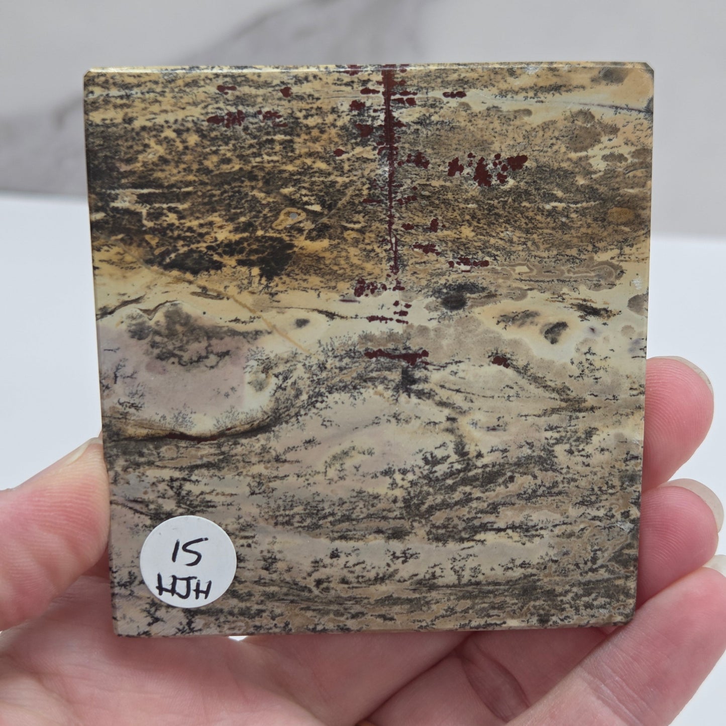 Picture Jasper square coaster