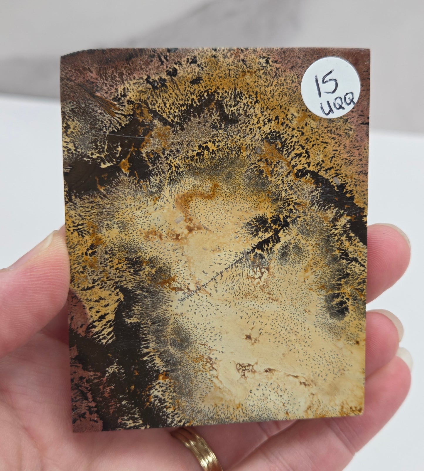 Picture Jasper square coaster