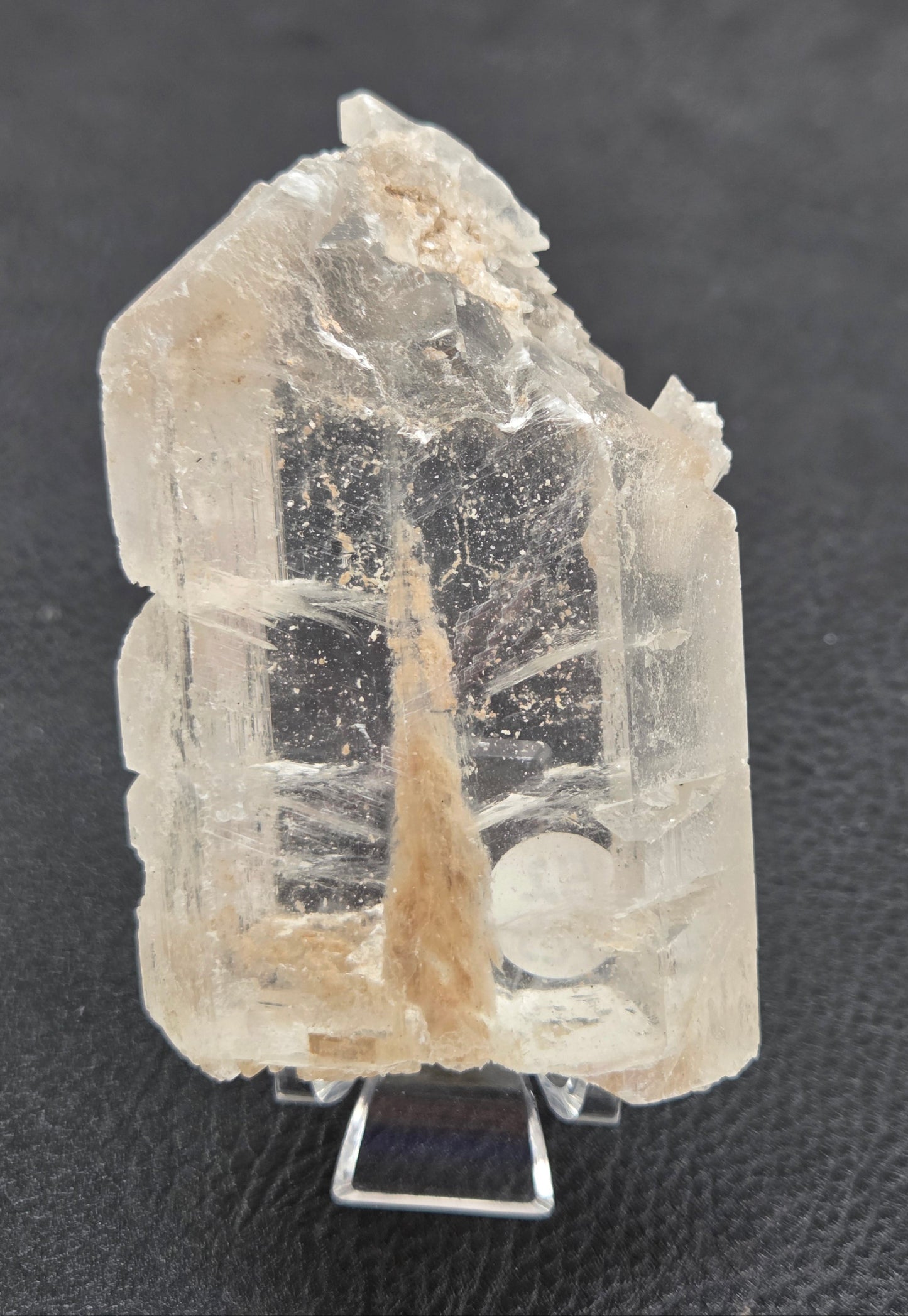 Laguna del Rey Fish Tail Selenite