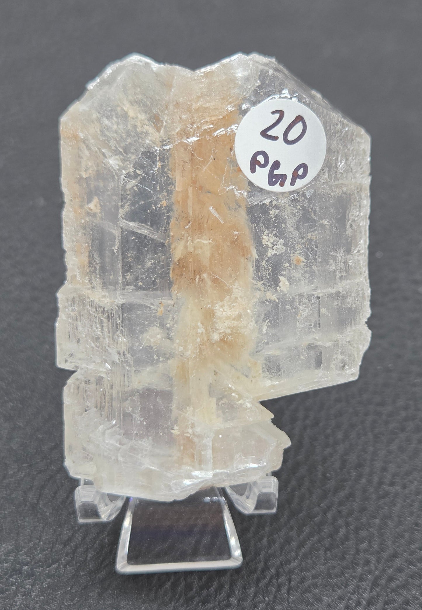 Laguna del Rey Fish Tail Selenite