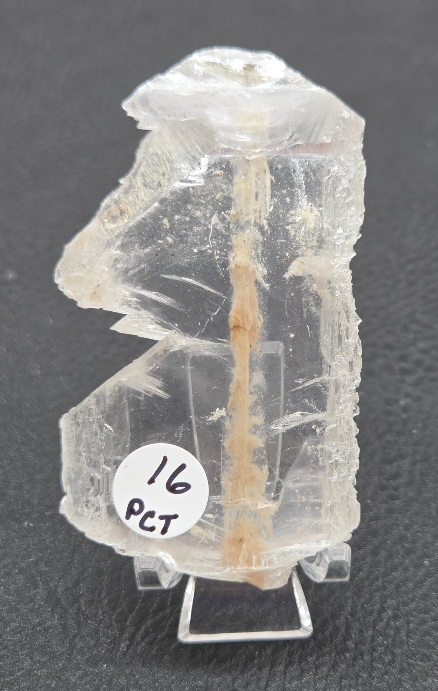 Laguna del Rey Fish Tail Selenite