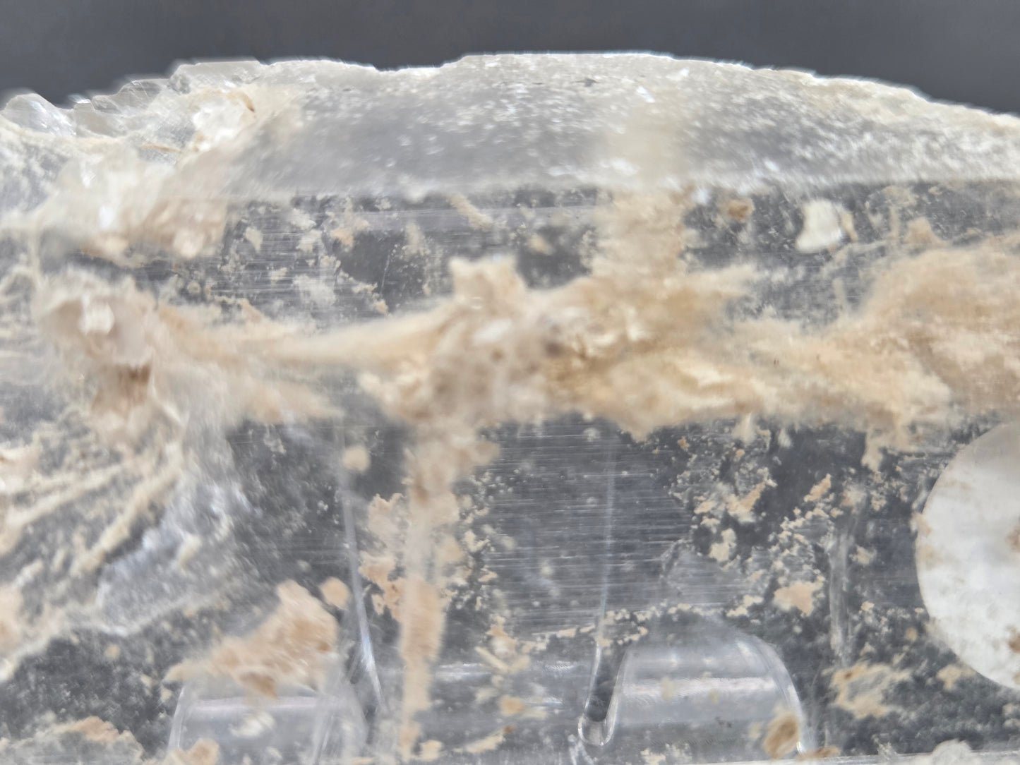 Laguna del Rey Fish Tail Selenite