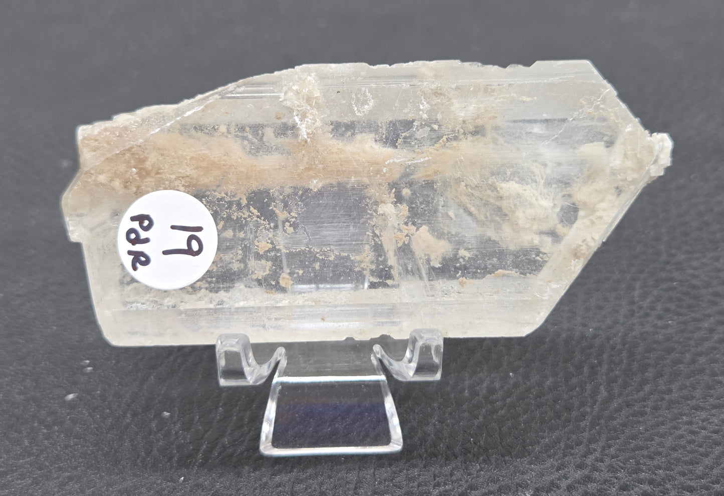 Laguna del Rey Fish Tail Selenite
