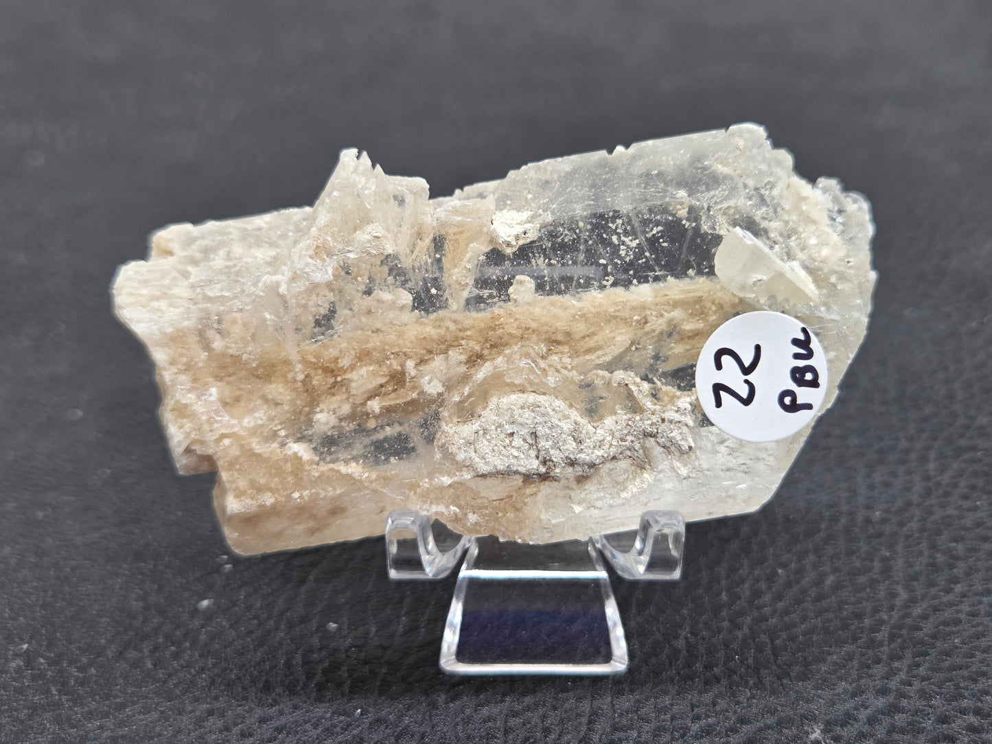 Laguna del Rey Fish Tail Selenite