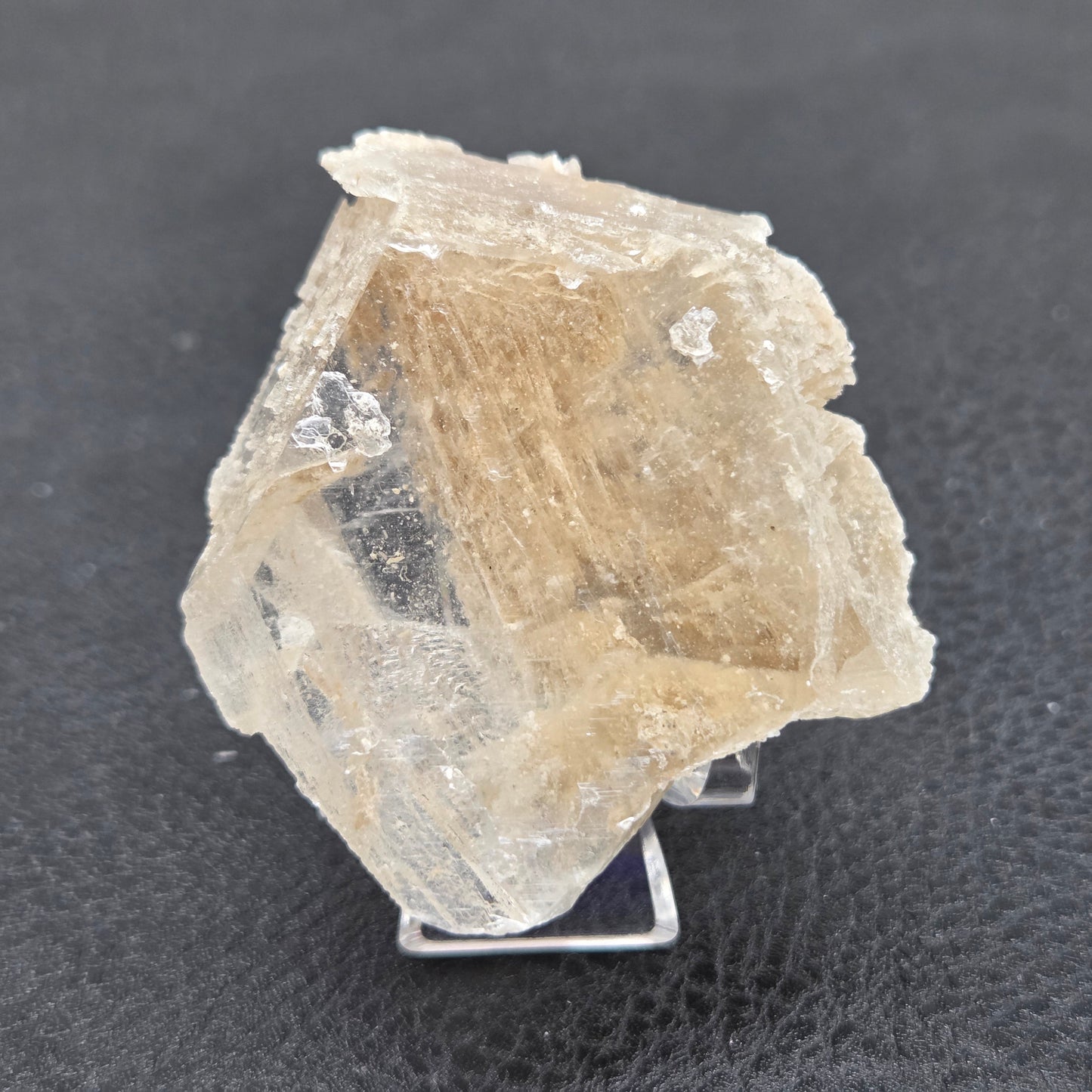 Laguna del Rey Fish Tail Selenite