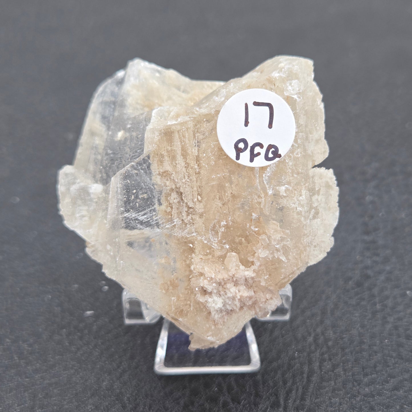Laguna del Rey Fish Tail Selenite