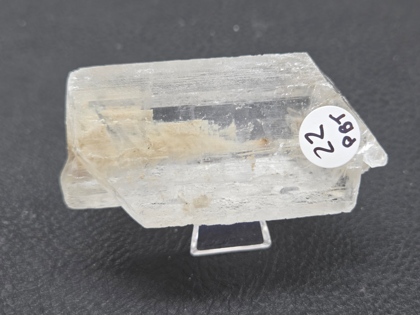 Laguna del Rey Fish Tail Selenite
