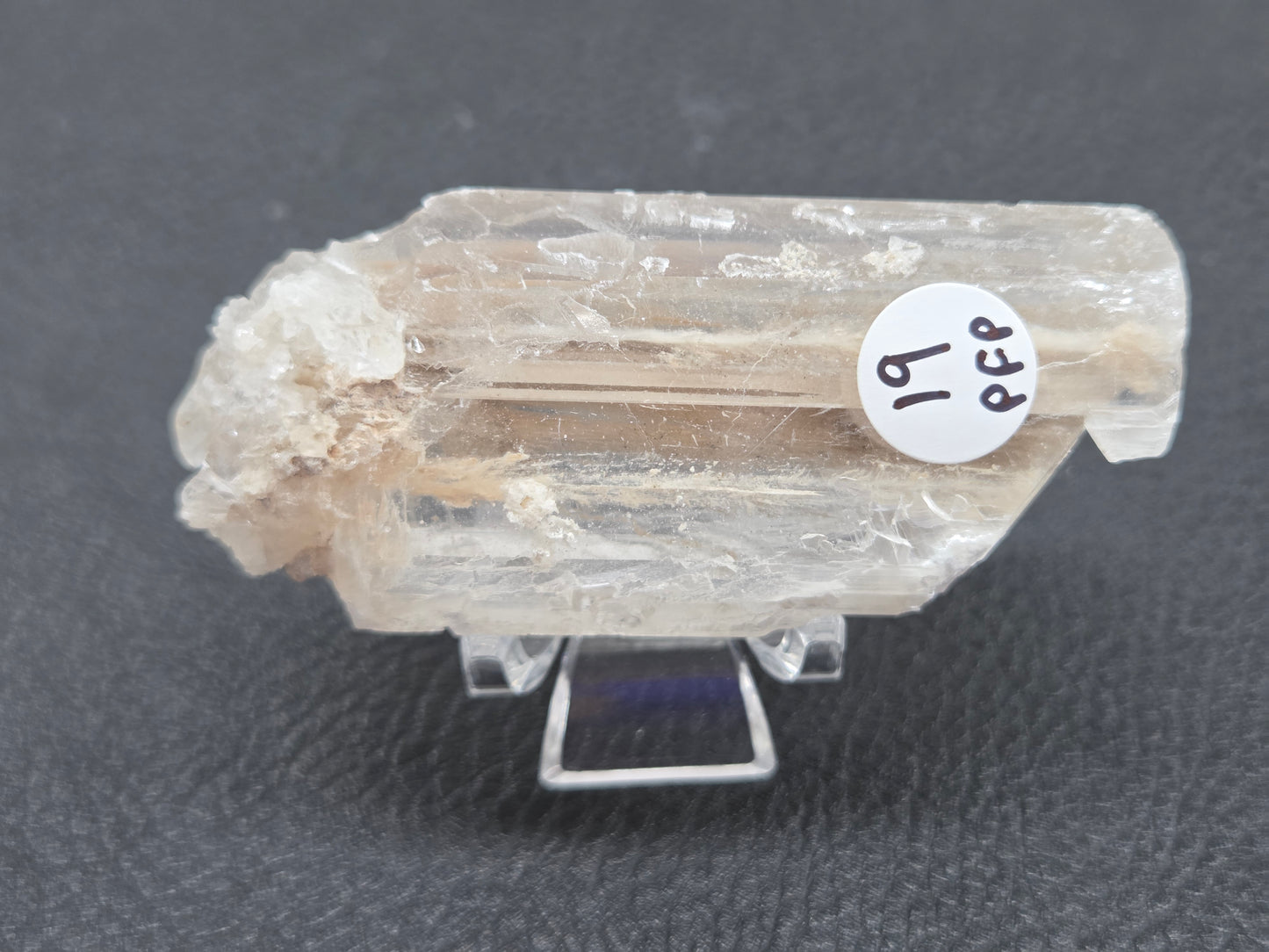 Laguna del Rey Fish Tail Selenite