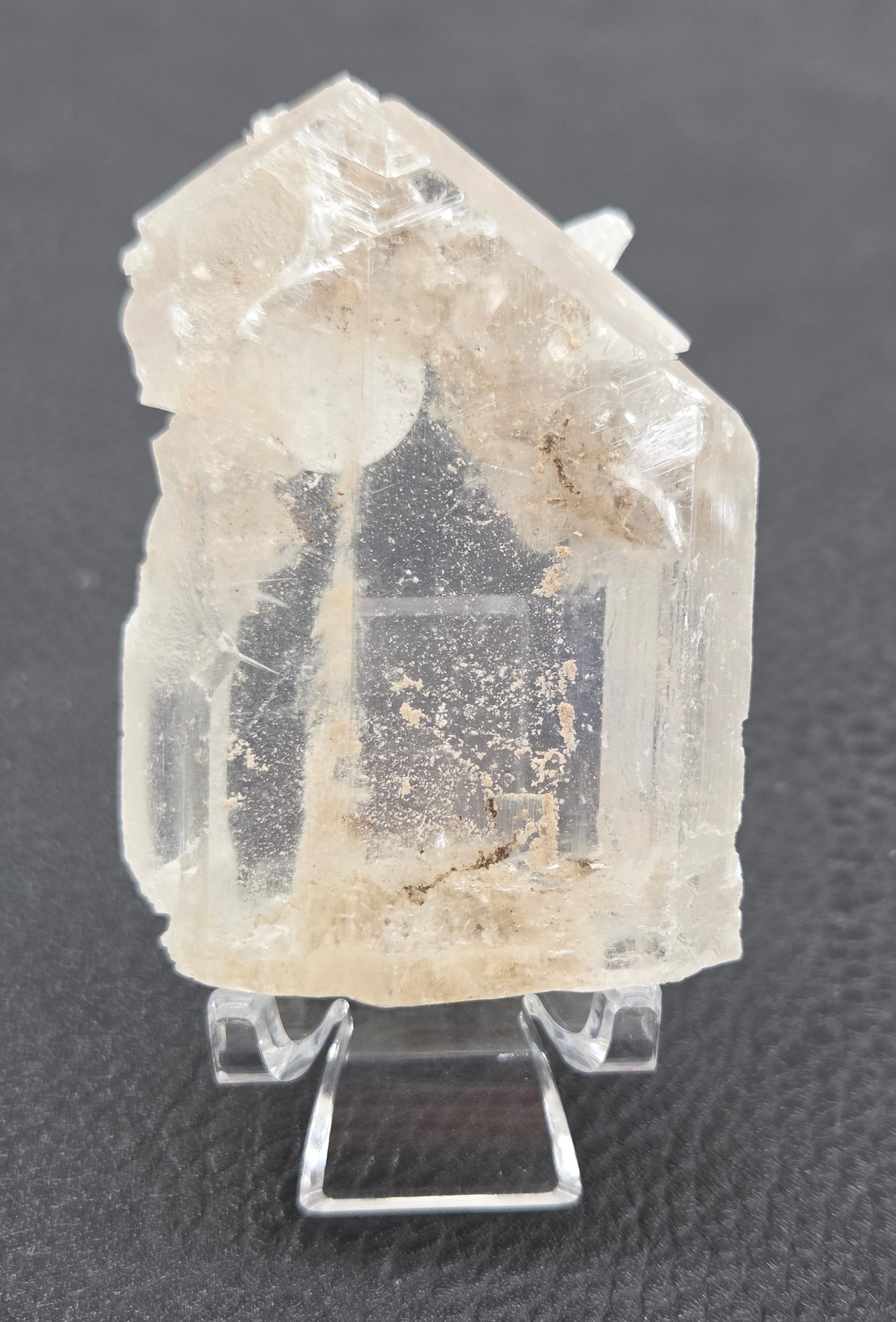 Laguna del Rey Fish Tail Selenite
