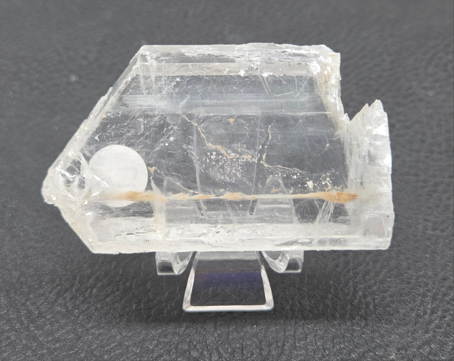 Laguna del Rey Fish Tail Selenite