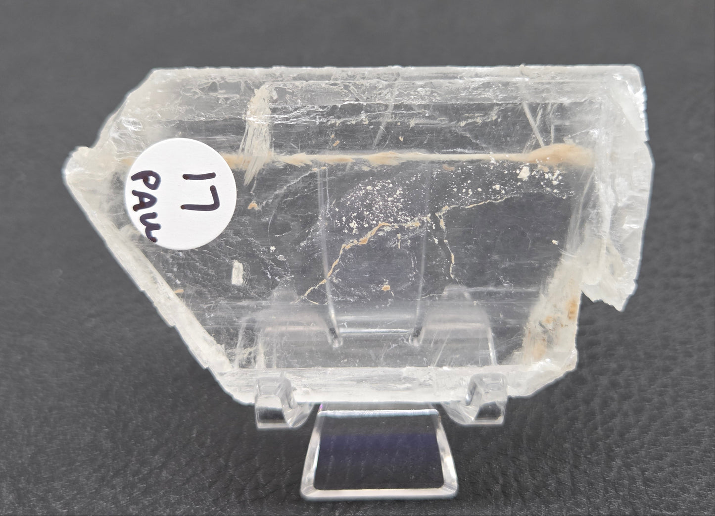 Laguna del Rey Fish Tail Selenite