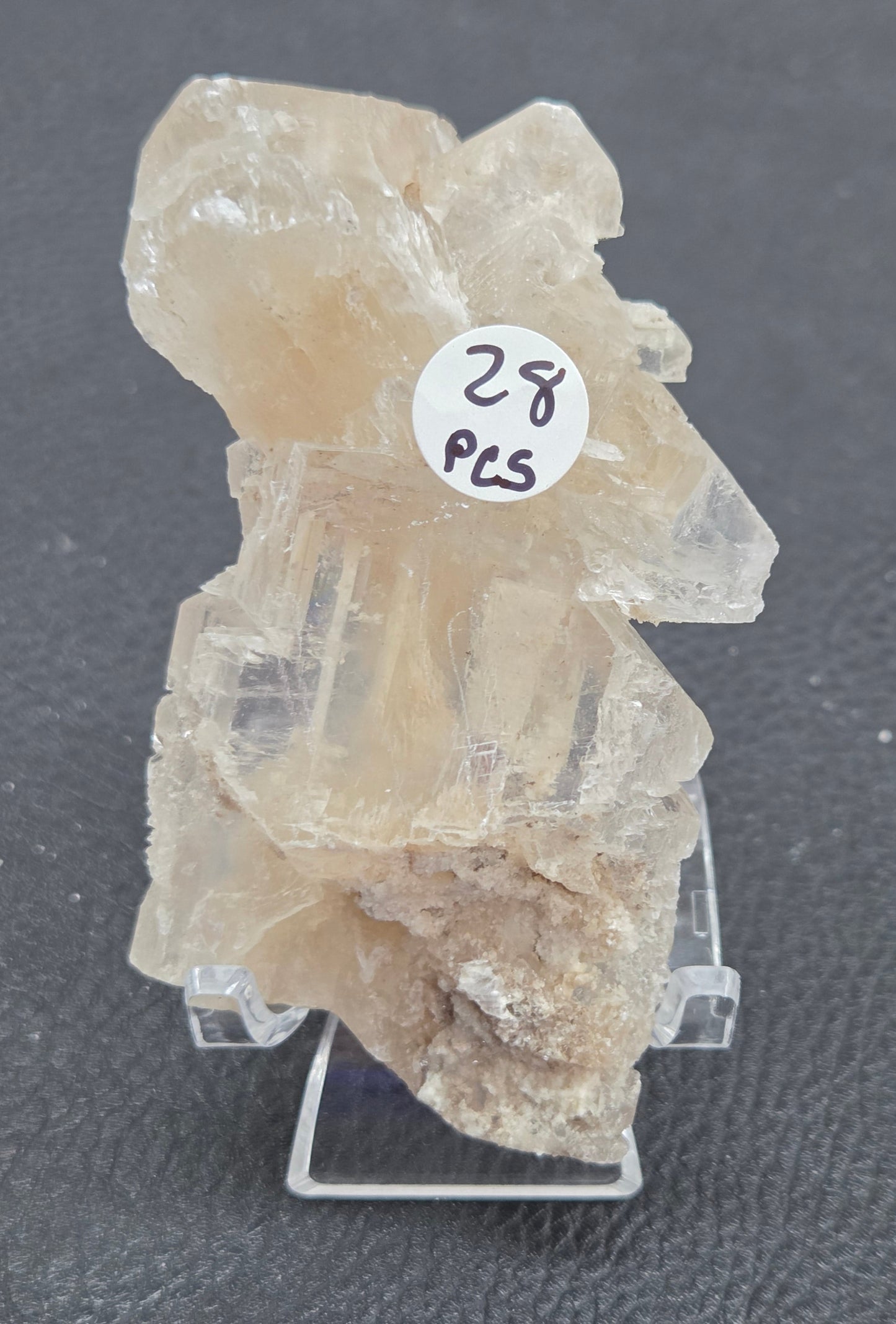 Laguna del Rey Fish Tail Selenite