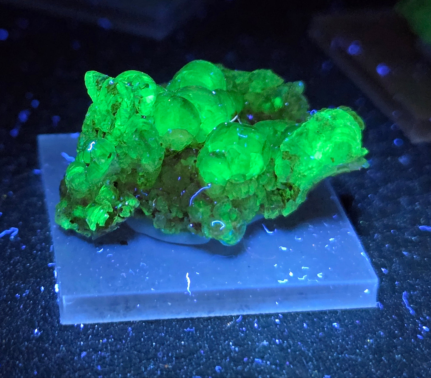 Hyalite Opal